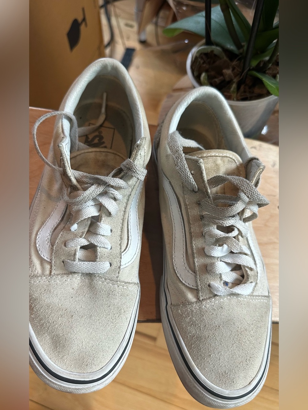 Vans Men's Low-Top Suede Sneakers in Off-White and White